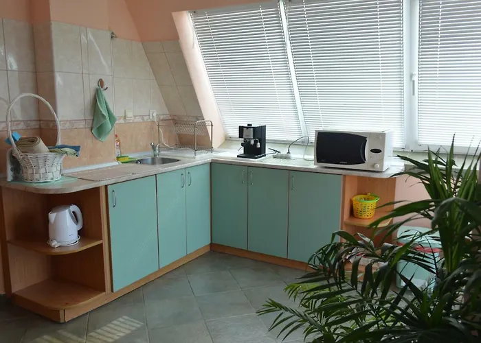 Guest house Dimana Chernomorets